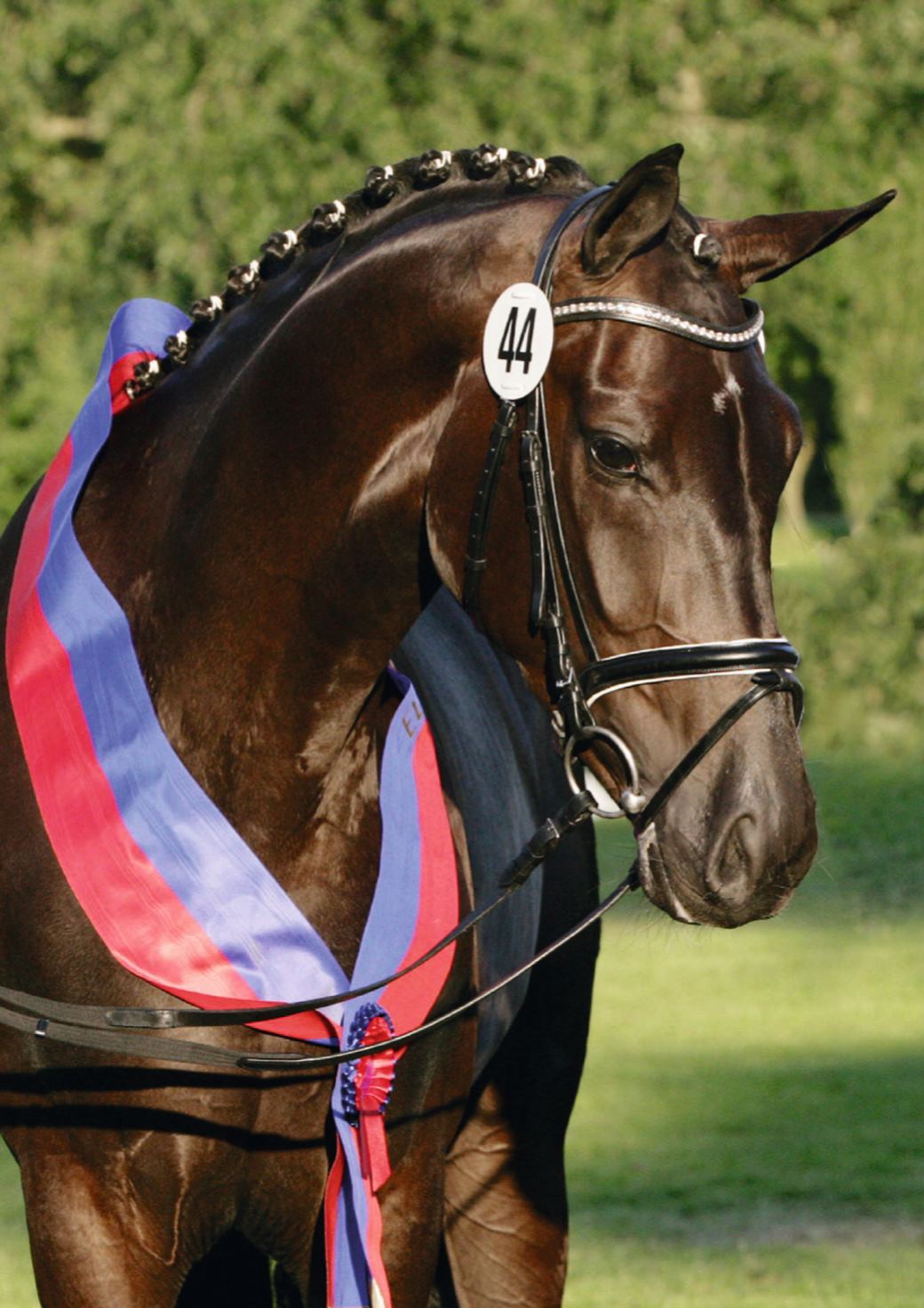 Sonderpublikation Weihegold OLD